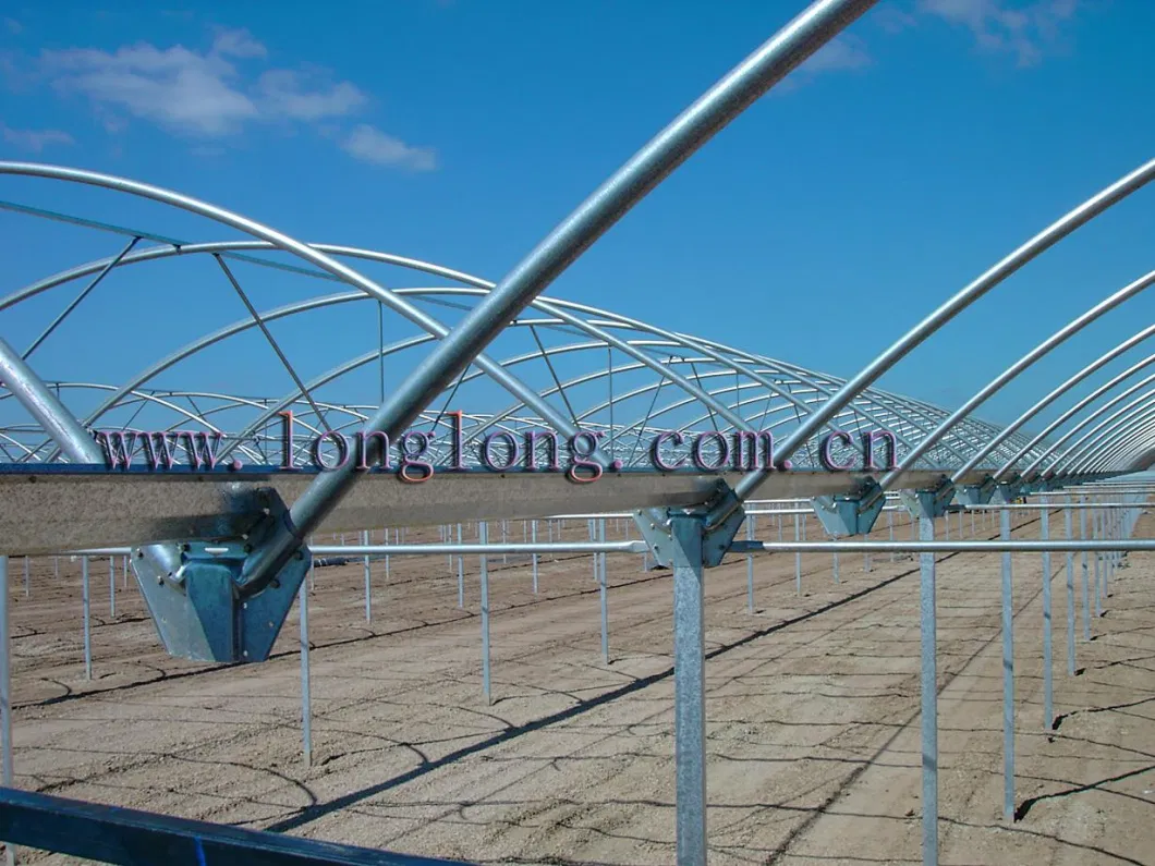 Superb Greenhouse Steel Profile/Gutter/Steel Framework/Skeleton for EU Type Greenhouse