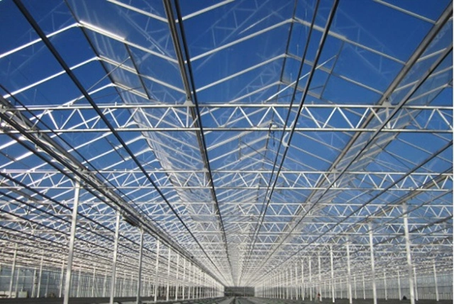 Aluminum Plastic Roofing PC Sheet Greenhouse