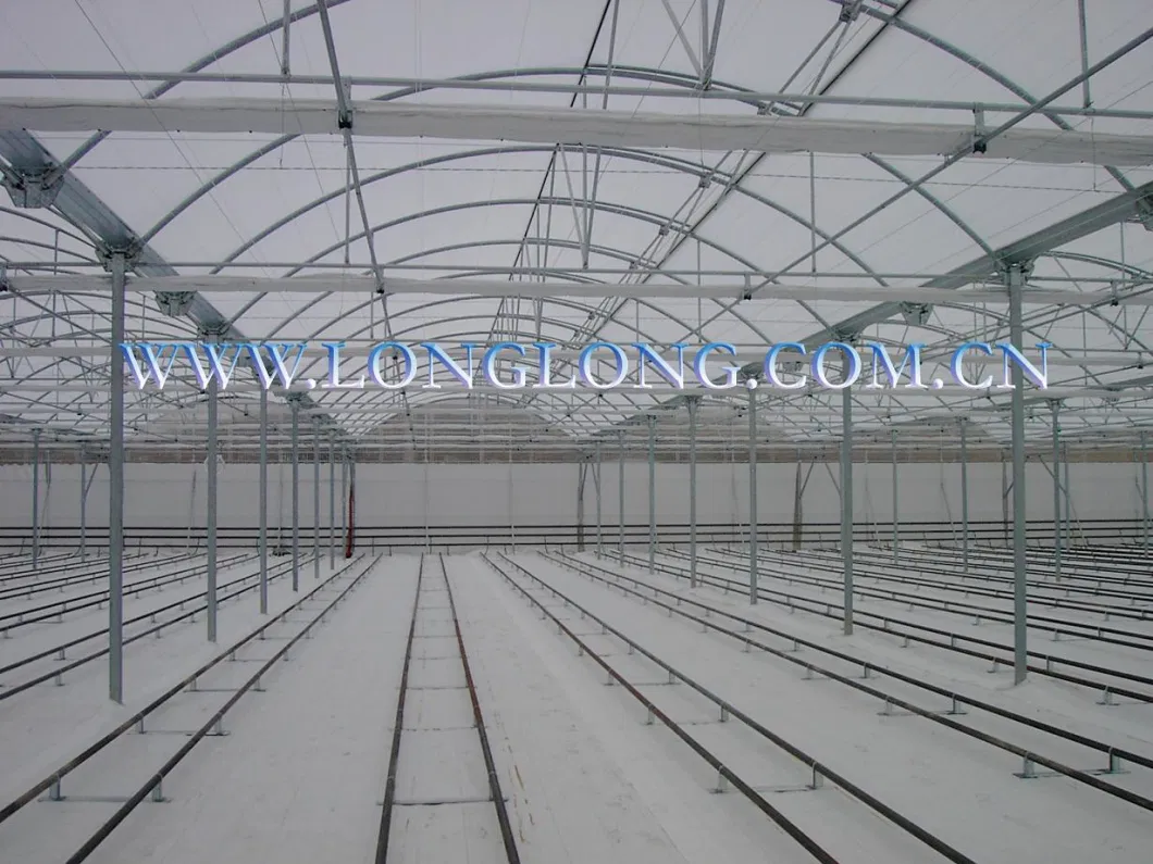 Superb Stabality M Profile Greenhouse Skeleton/Framework for High Quality EU Type Greenhouse