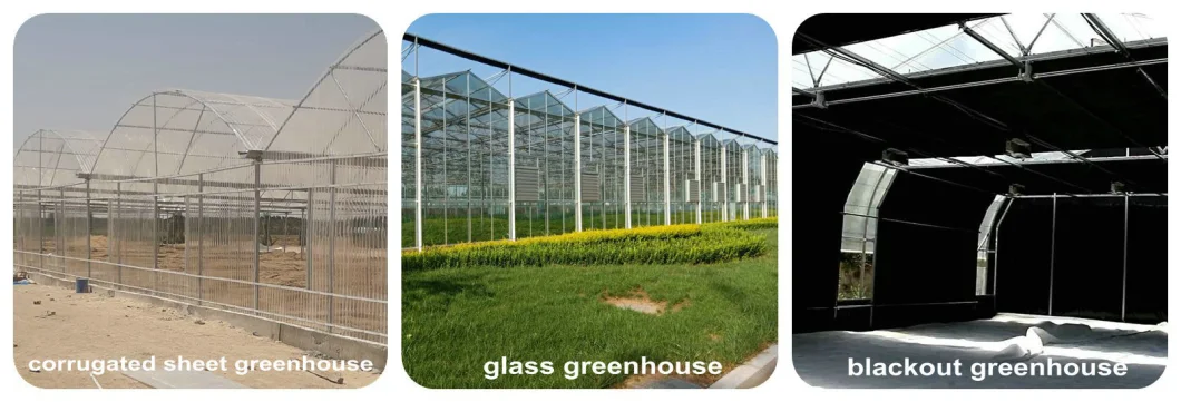 China Supplier Multi Span Film Greenhouse with Cooling/ Shading/Irrigation