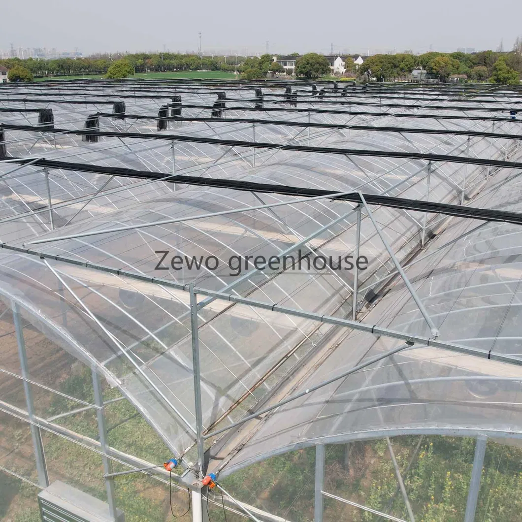 Frame Steel Galvanized Multi-Span/Plastic Film Greenhouse with Hydroponics Irrigation System for Strawberry/Flowers/Vegetables