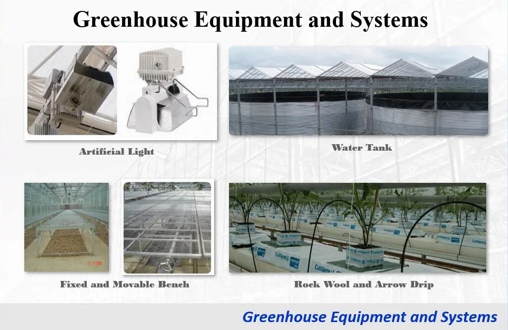 Semi-Closed Glass Greenhouse for Agricultural Farming