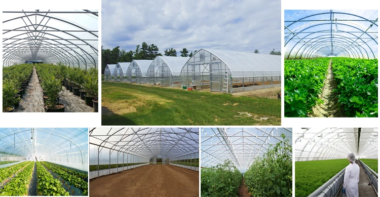 Cheap Price Green House Frame Structure Dome Polytunnel Greenhouse