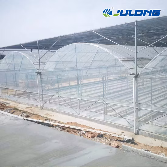 Hochwertiger chinesischer Gewächshauslieferant mit Hydrokultursystem-Kühlsystem für Tomaten