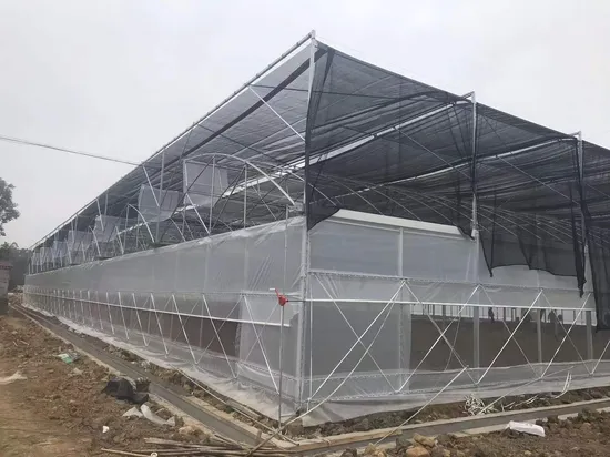 Trinog China stellte ein landwirtschaftliches Gewächshaus mit Multispan-Hydrokultur-Kunststofffolie für kommerzielle landwirtschaftliche Betriebe her