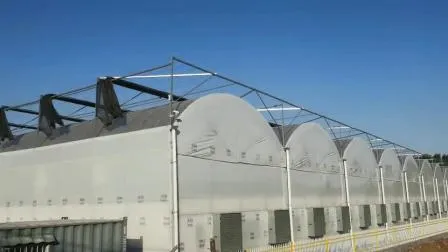 Landwirtschaftliches Multi-Span-Gewächshaus, Kunststofffolie, Hydrokultur, vertikales Landwirtschaftssystem, Gewächshaus