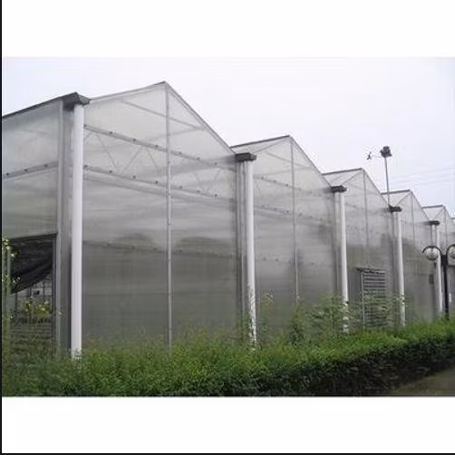 China Günstige vorgefertigte Winter-PC-Blatt-Gewächshaus-Hobby-Luxus-kleine Polycarbonat-Kunststoff-Gewächshaus-Garten zu verkaufen