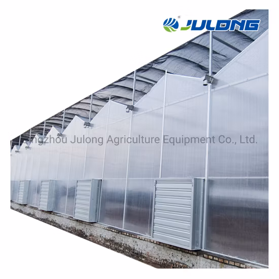 China Einfache Montage eines kommerziellen Gartengewächshauses aus Polycarbonat-PC-Platten mit Hydrokultur/Pflanzsystem/Lichtsystem/Landwirtschaft/Viehzucht