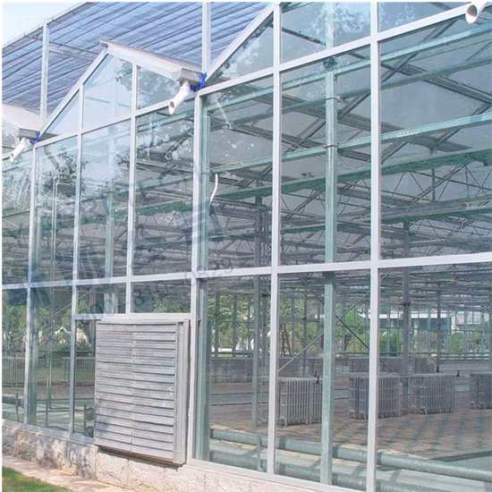Heißer Verkauf landwirtschaftliches Polycarbonat-Gewächshaus für Hydrokultur/Kindergarten