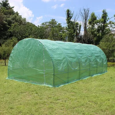 Günstiges Outdoor- und Indoor-Mini-OEM-Poly-Tunnel-Gartengewächshaus-Set/Home-Blumen-Gewächshaus zum Verkauf