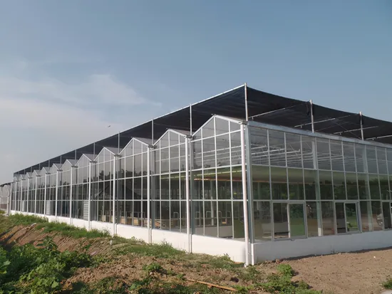 Landwirtschaftliches Dreiecksdach-Gewächshaus aus PC-Platten-Polycarbonat mit Kühlkissen und Ventilatoren