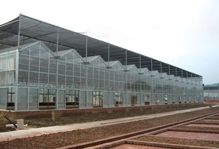 Fabrikpreis Hochwertiges PC-Blatt-Gewächshaus für Gemüsepflanzung/Tomate mit Hydroponiksystem