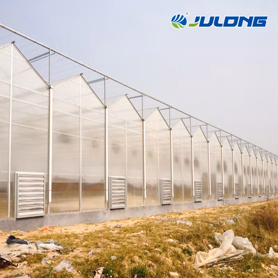 Gewächshaus aus verzinktem Stahlrohr aus Venlo-PC-Blech für Gartenprodukte